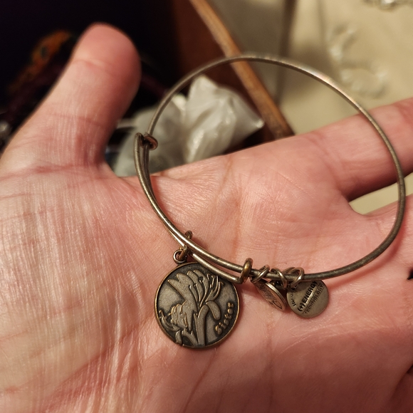 Alex and Ani Silver and Blue Charm Bracelet Collection - Picture 4 of 11